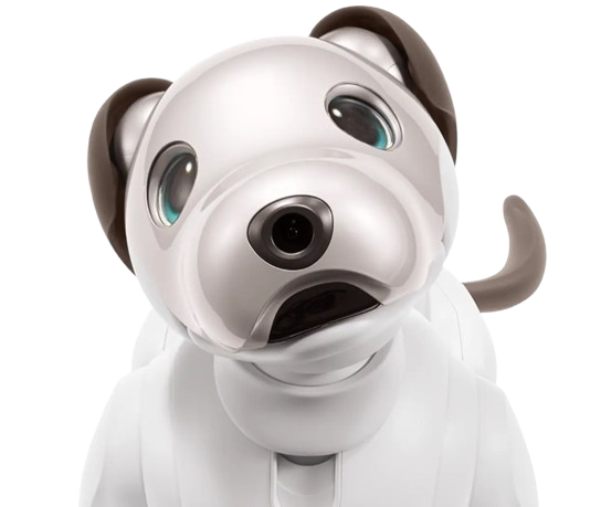 aibo