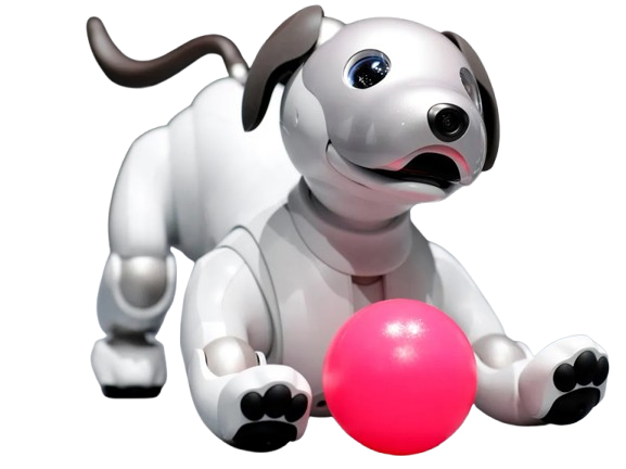 aibo view 2