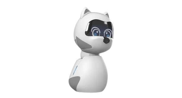 Kiki view 2