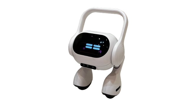Self-Driving AI Home Hub view 2
