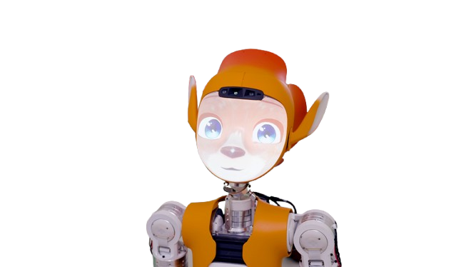 Mirokaï