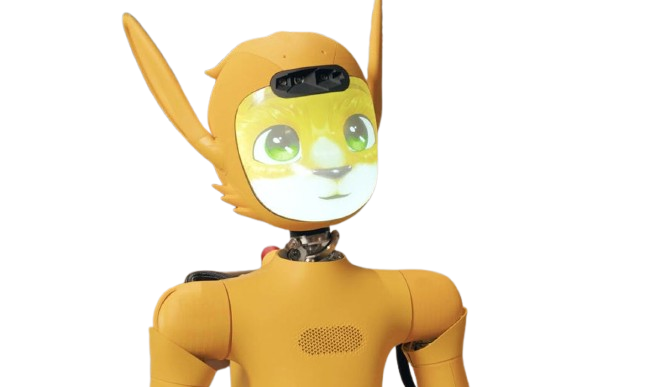 Mirokaï